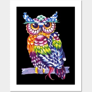 Rainbow Owl Posters and Art